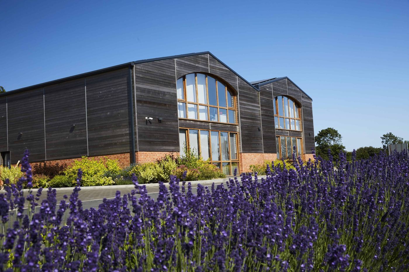 Office block exterior with lavender border at Grovelands Business Park